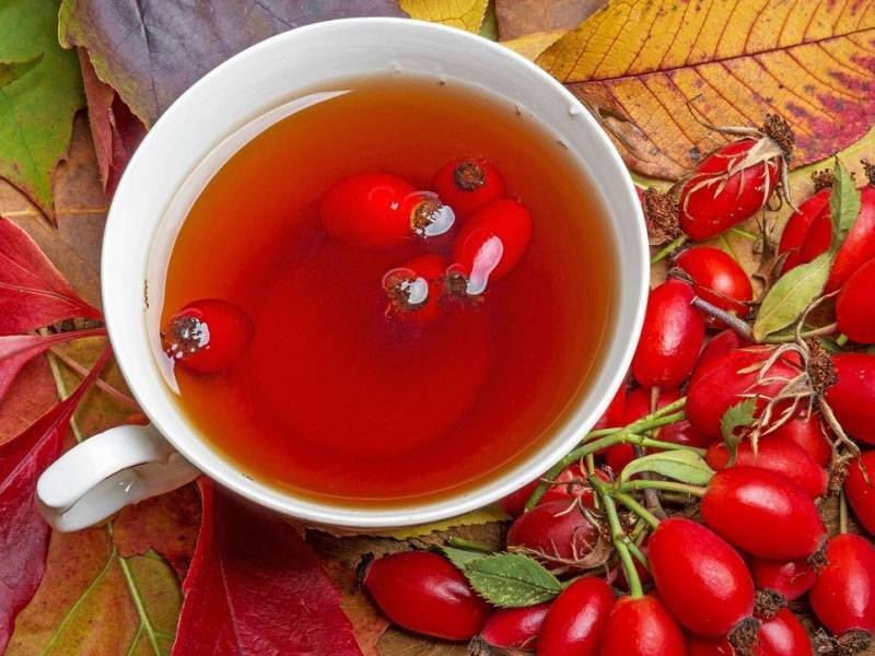 Чай с барбарисом: полезные свойства и рецепты приготовления