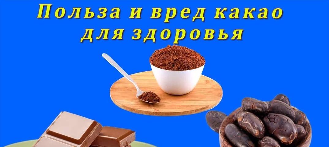 Чем полезно какао - особенности, свойства и рекомендации по употреблению