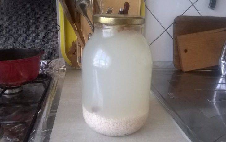 Рисовый квас с изюмом: польза и вред, рецепты приготовления в домашних условиях