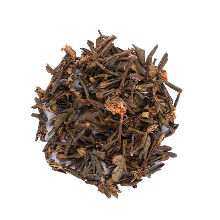 Все о лекарственной траве саган-дайля: как заваривать чай, полезные свойства, противопоказания и отзывы