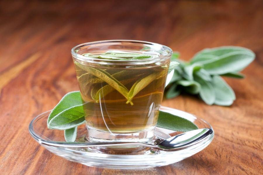 Оливковый чай из турции польза и вред