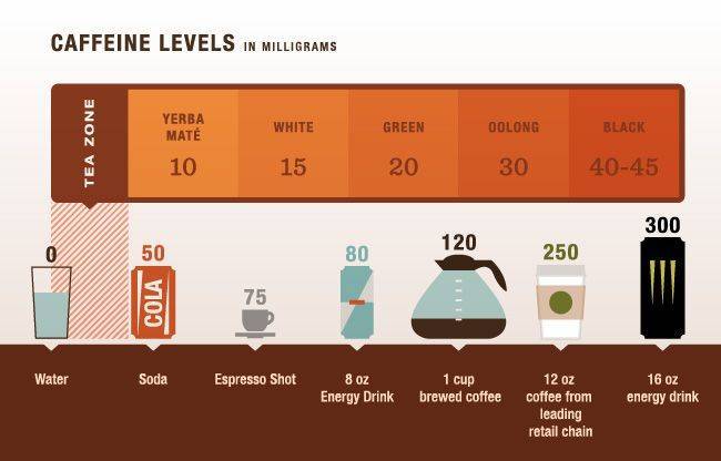Где содержится больше кофеина в чае или кофе