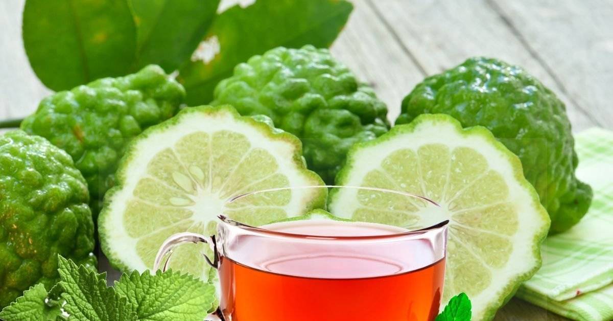 Чай с бергамотом — польза и экзотический вкус. когда будет особенно полезен этот напиток и как его правильно подавать