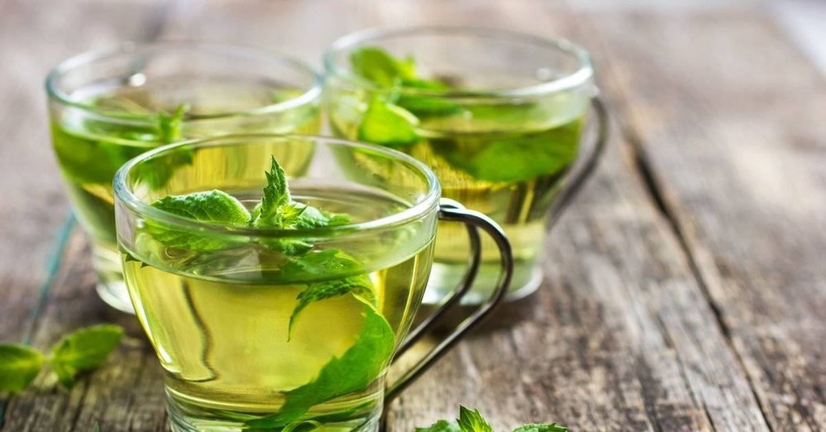 Чай с мятой: польза и вред, свойства, лучшие рецепты