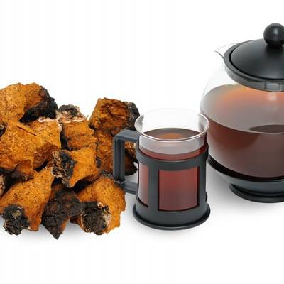Чай из чаги полезные свойства и противопоказания