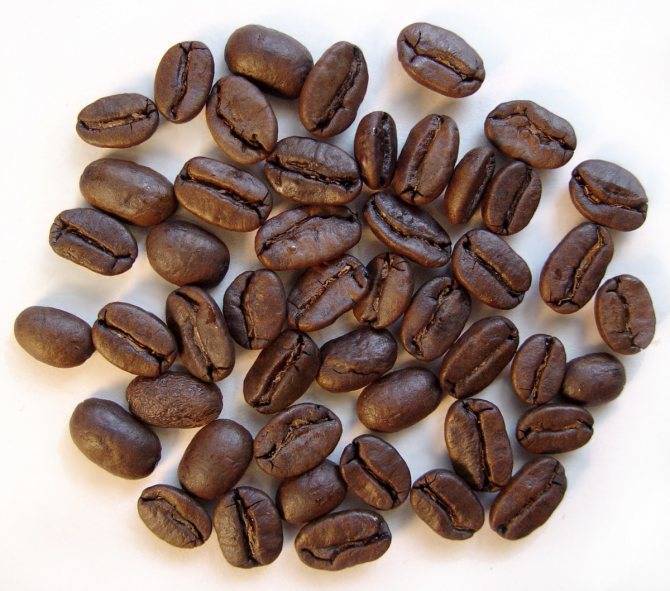 Кофе bourbon, сублимированные кофейные напитки, описание