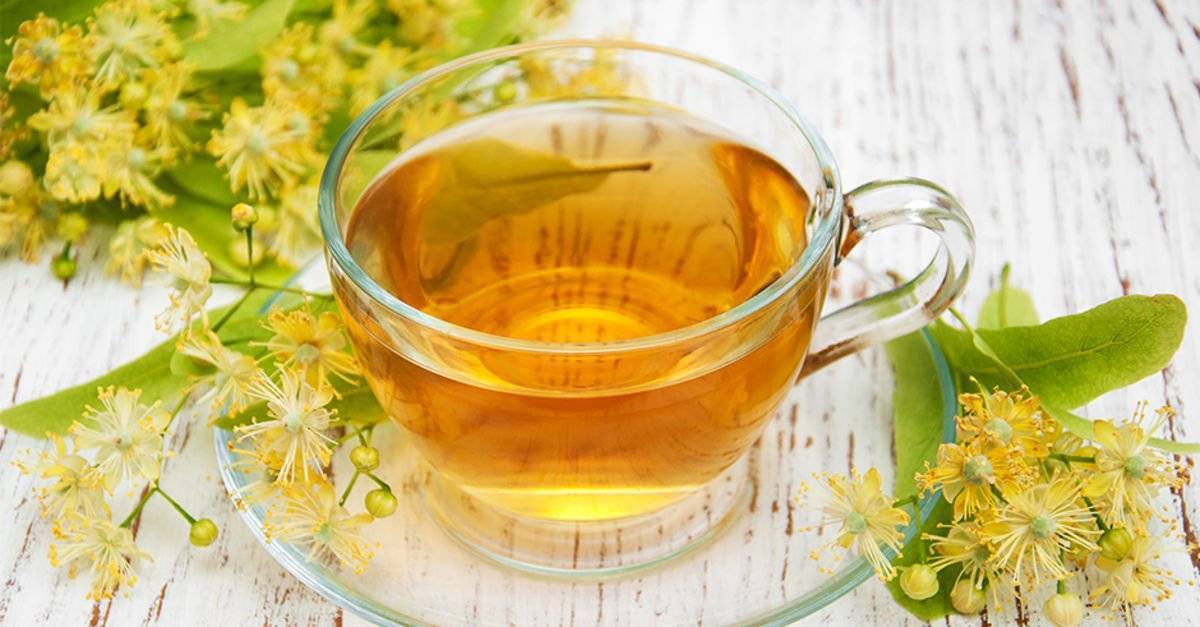 Зеленый чай повышает или понижает давление, польза и вред – эл клиника