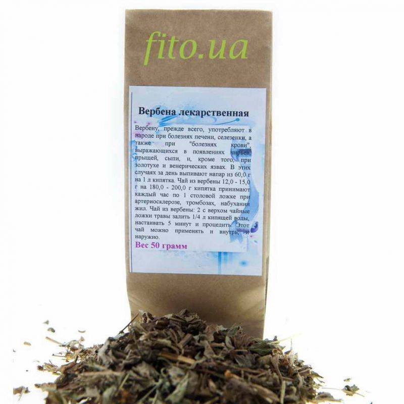 Вербена лекарственная: лечебные свойства, противопоказания, показания к применению для женщин, как принимать, чай из травы, фото
