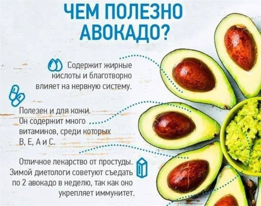 Как есть авокадо правильно, с чем кушать и как готовить