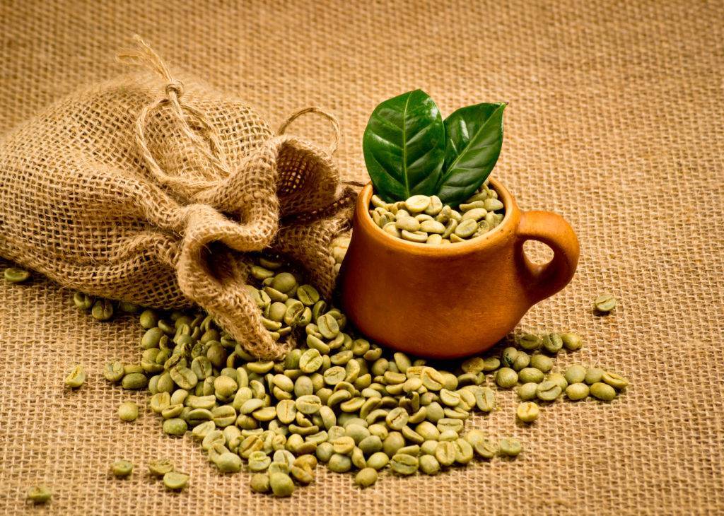Зеленый кофе: польза и вред, как приготовить и пить в домашних условиях