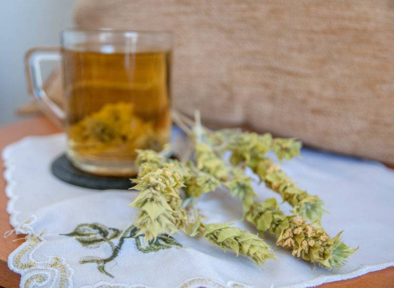 Мурсальский (пиринский) чай - знаменитый болгарский травяной напиток