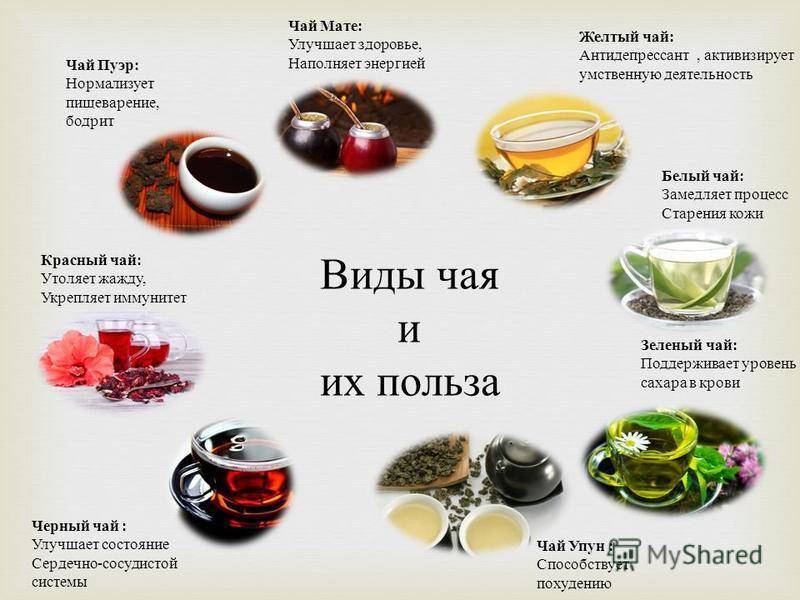 Чай пуэр: что это за напиток, эффект опьянения, свойства, состав, виды, отзывы
