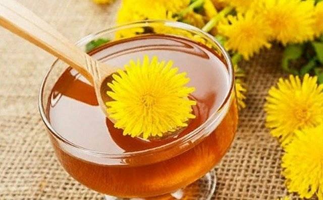 Как правильно заваривать чай из одуванчика: из цветков, листьев, корней, как пить. одуванчиковый чай: польза и вред, как употреблять напиток – дачное дело