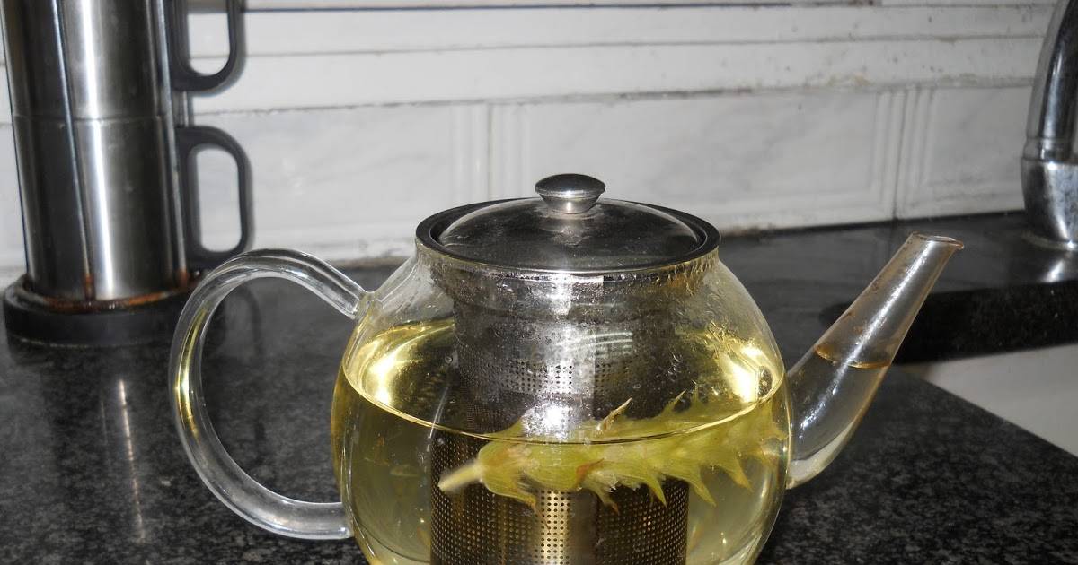 Мурсальский чай полезные свойства и противопоказания