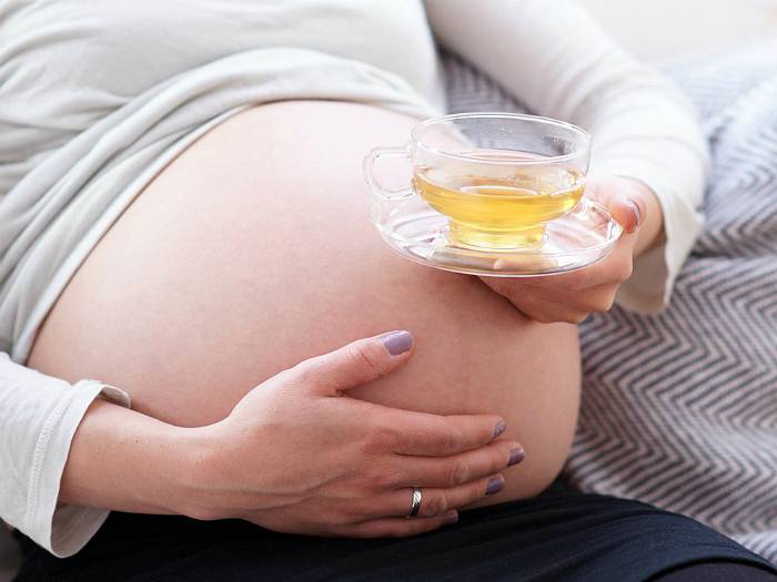 Можно ли пить ромашку при беременности?