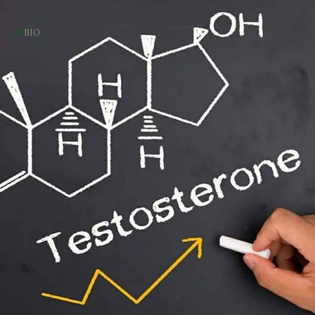 Тестостерон общий | биомедика