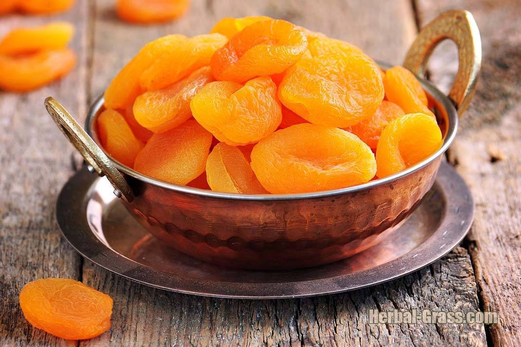 Косточки абрикоса польза и вред, применение в готовке и косметике