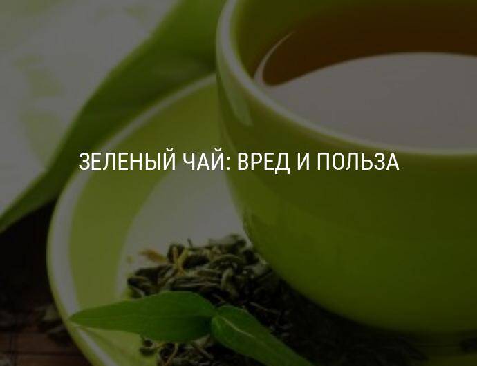 Зеленый чай для мужчины: в чем огромная польза и непоправимый ущерб