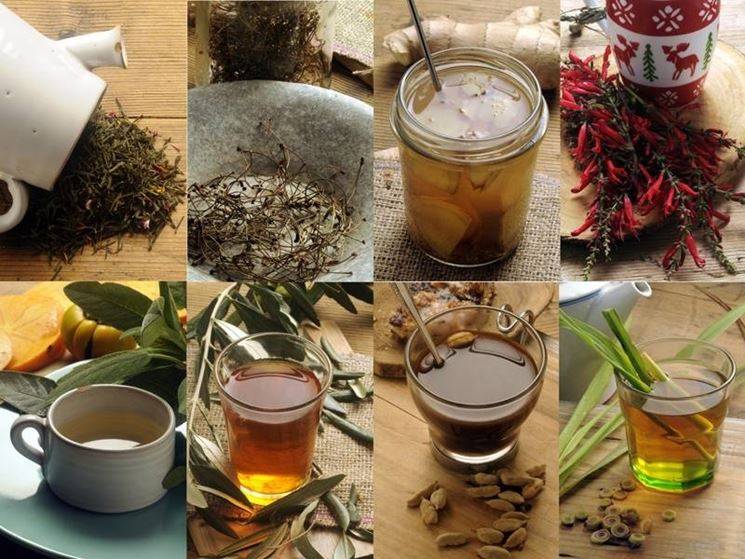 Карпатский чай. как приготовить полезные напитки из карпатских трав — новости закарпатья и ужгорода
