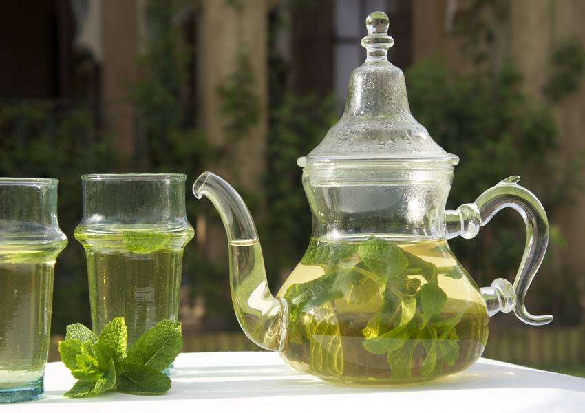 Польза марокканской мяты, приготовление чая из нее
