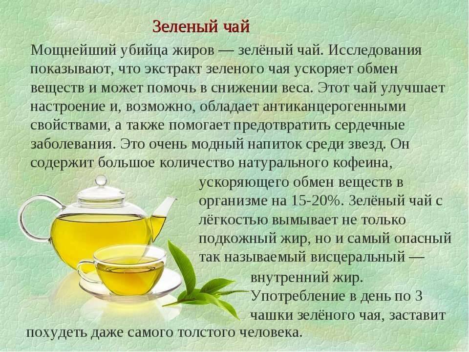 Чай для похудения в домашних условиях, рецепты травяных чайных напитков