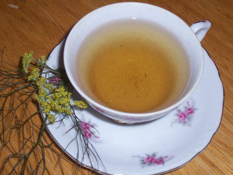 Чай с фенхелем - горячий, полезный для здоровья напиток