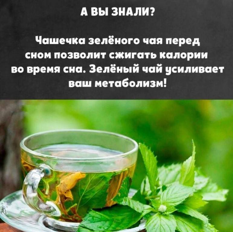 Почему в жару пьют горячий зеленый чай - обзор