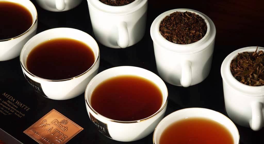 Какие бывают виды чая – полный список и свойства