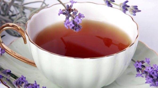 Чем полезен лавандовый чай? - just help us