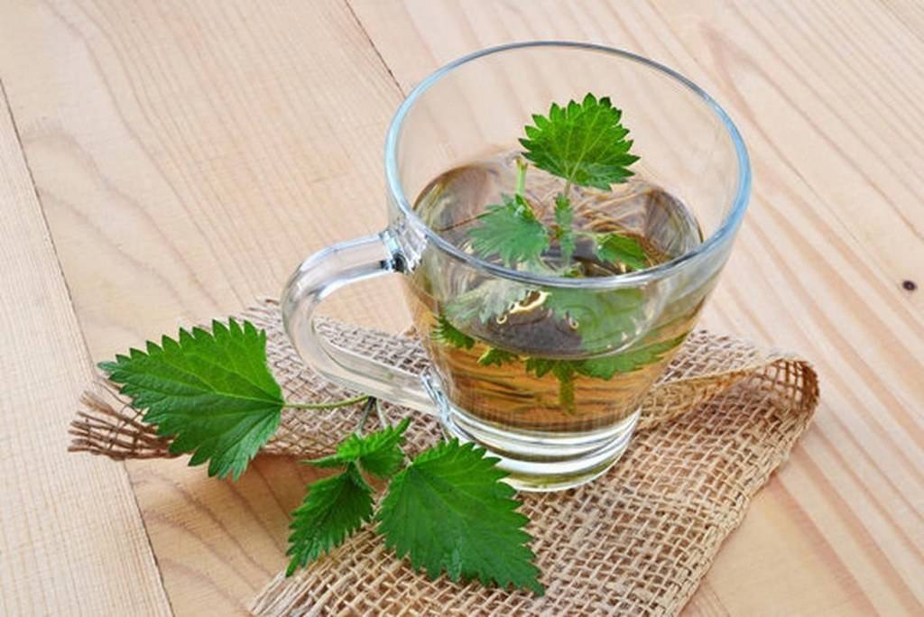 Чай из листьев смородины: польза, вред, лечебные свойства