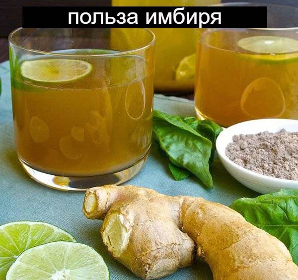 Имбирная вода с лимоном польза для похудения и лучшие рецепты