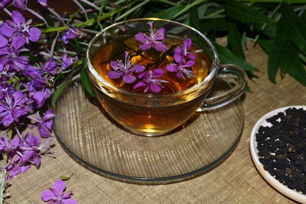 Копорский чай – приготовление в домашних условиях, польза и вред