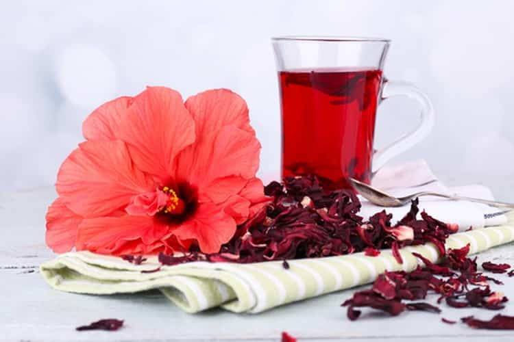 Чай из гибискуса – описание, свойства, применение, польза для организма