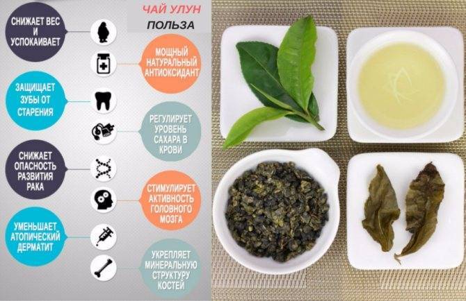 Зеленый чай улун или Оолонг