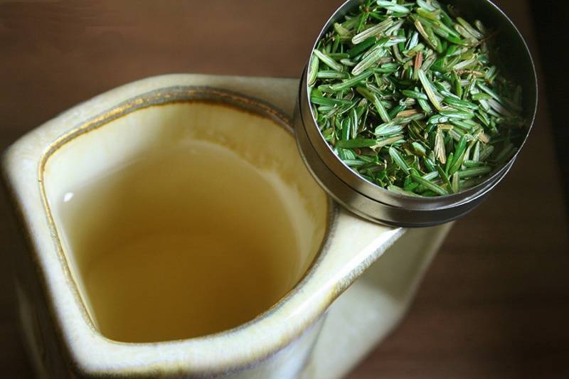 Таежный чай из хвои… 5 рецептов полезного напитка
