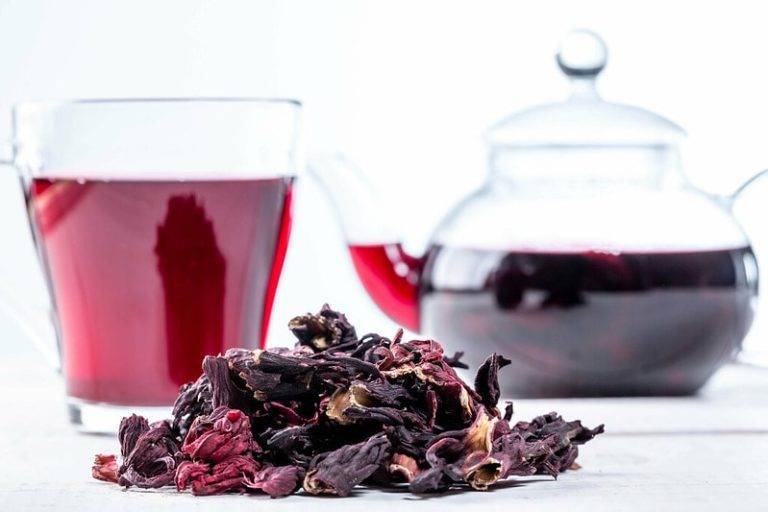 Гибискус чай полезные свойства и противопоказания • siniy-chay.ru