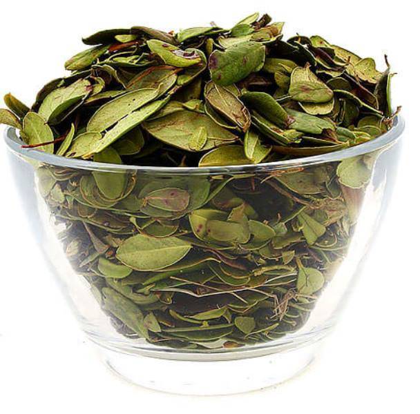 Чай из листьев брусники польза и вред — подробнее о чае