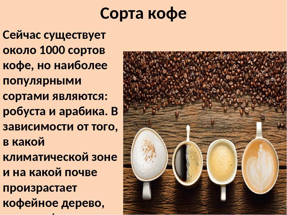 Как выбрать кофе. лучшие сорта кофе :: инфониак