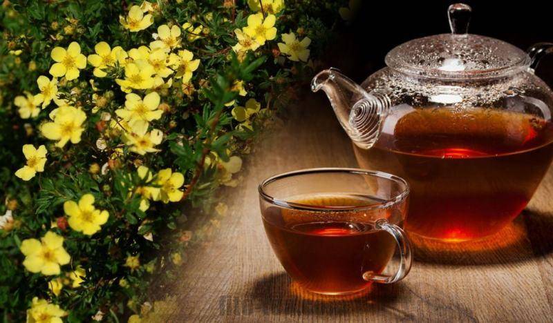 Чай из шиповника: польза и вред, как правильно заваривать, рецепты