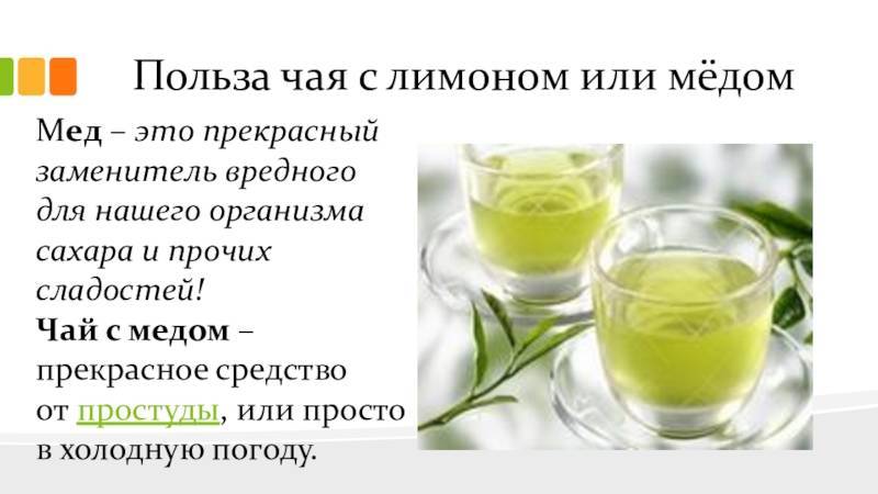 Зеленый чай с имбирем и лимоном для похудения: как заваривать и как принимать