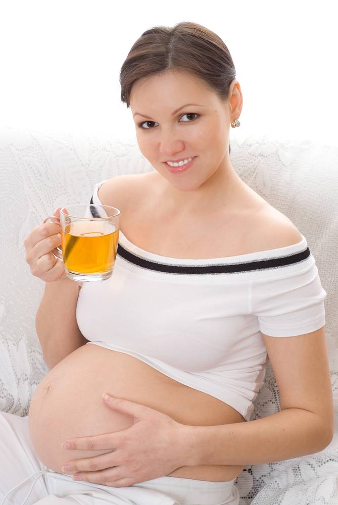 Мелисса при беременности — польза, противопоказания и риски употребления