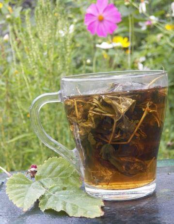Можно ли пить чай из свежих листьев малины при беременности