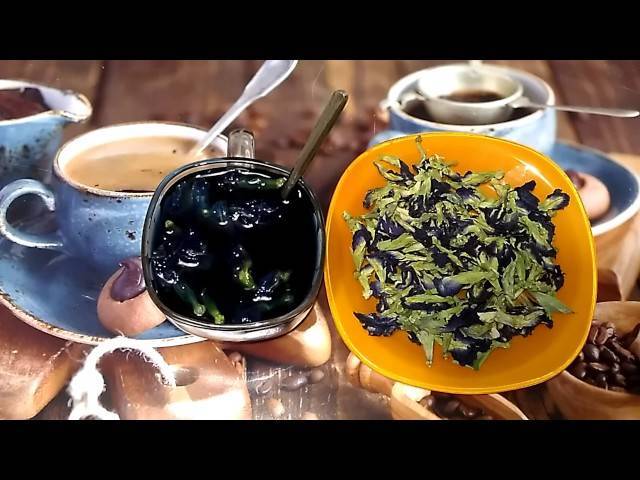 Синий чай из тайланда: полезные свойства, отзывы о тайском чае, как заваривать