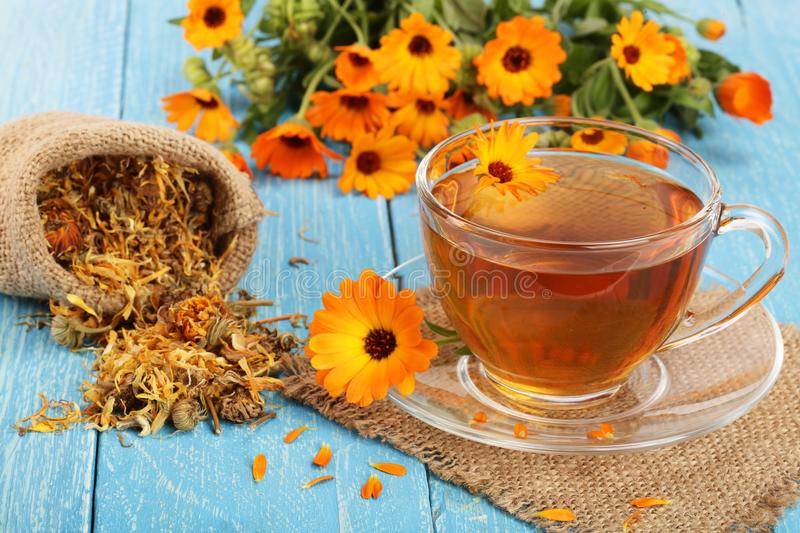 Чай из календулы: полезные свойства растения, возможный вред