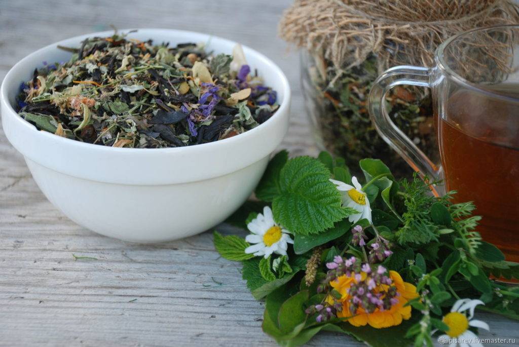 Чай с душицей – невероятно ароматный и вкусный успокаивающий чай: что делать и как лечить, причины, что принимать