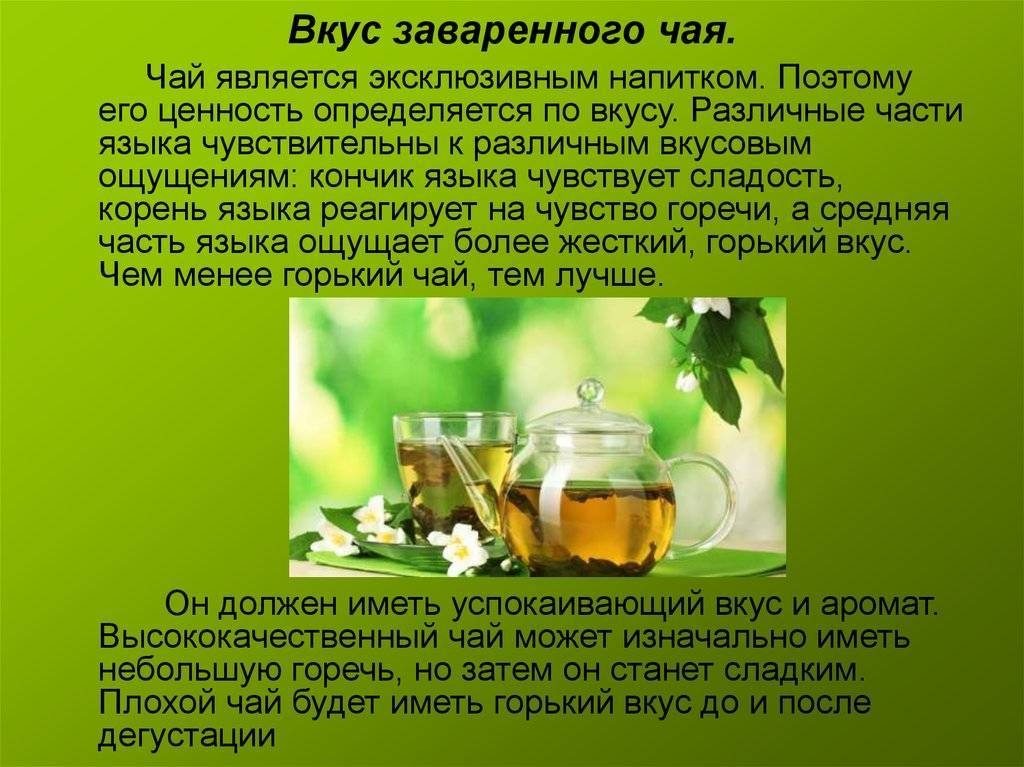 Чай сенча (сентя) – описание, польза и вред, как заваривать