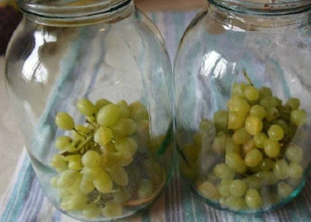 Компот из винограда на зиму: как сделать, рецепты в домашних условиях