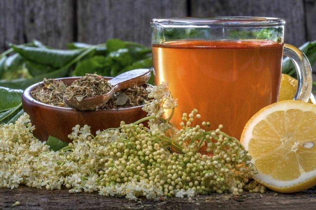 Чай с расторопшей: очищение организма и способы применения