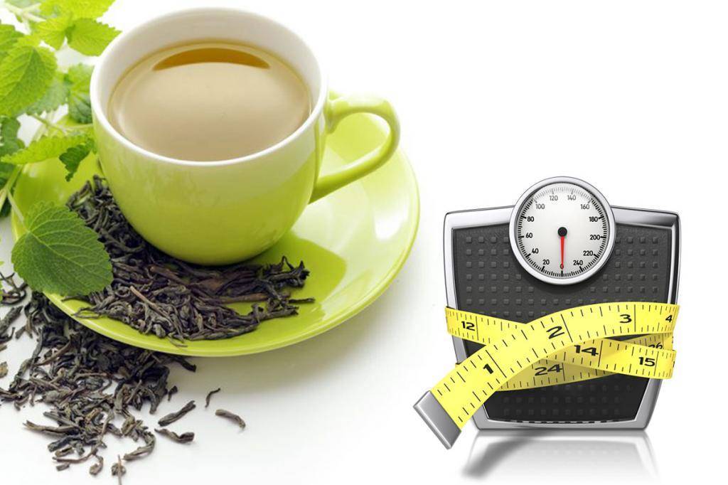 Чай «канкура» для похудения: описание, состав, инструкция по применению и отзывы