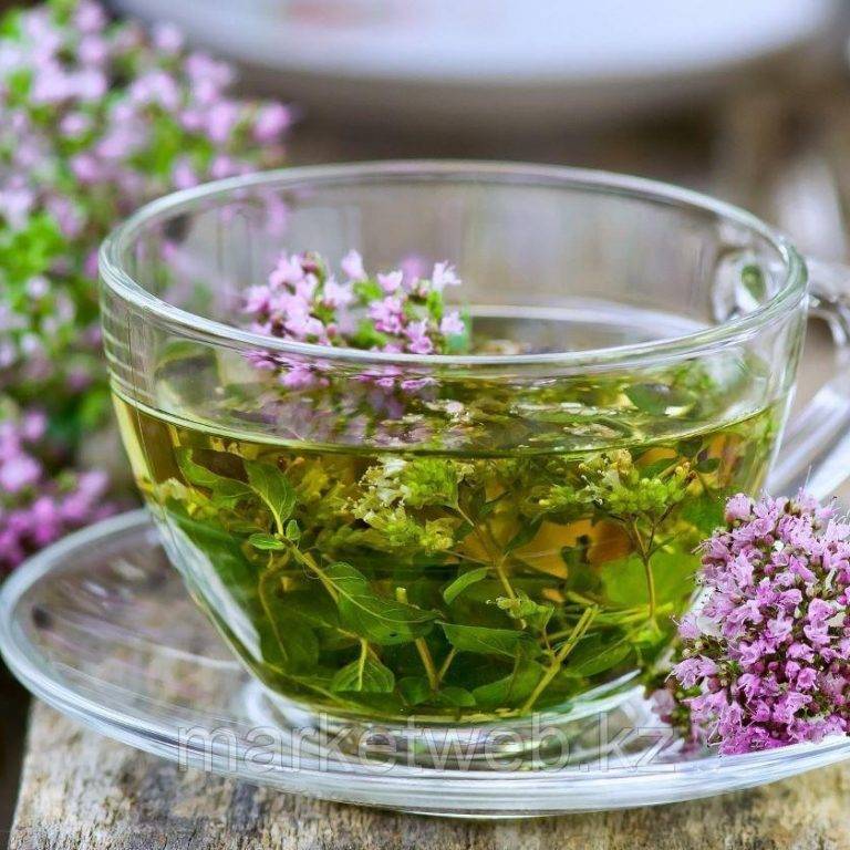 Чай с шалфеем: полезные свойства и противопоказания